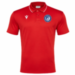 Tricou prezentare polo