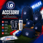 Accesorii
